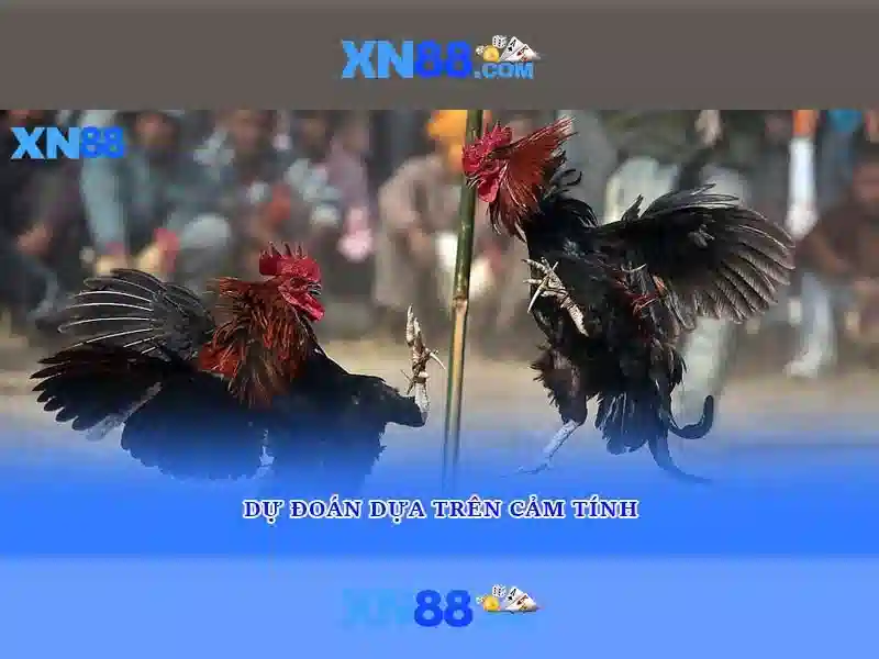 An toàn và bảo mật