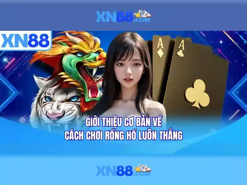xn88: Tổng quan và Lĩnh vực Hoạt động Go88