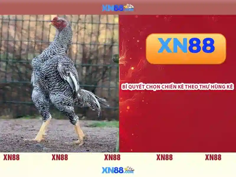 Đăng Nhập