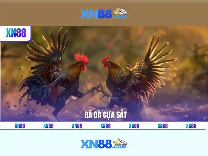 Giới thiệu về xn88