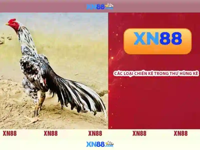 Cách hoạt động của xn88