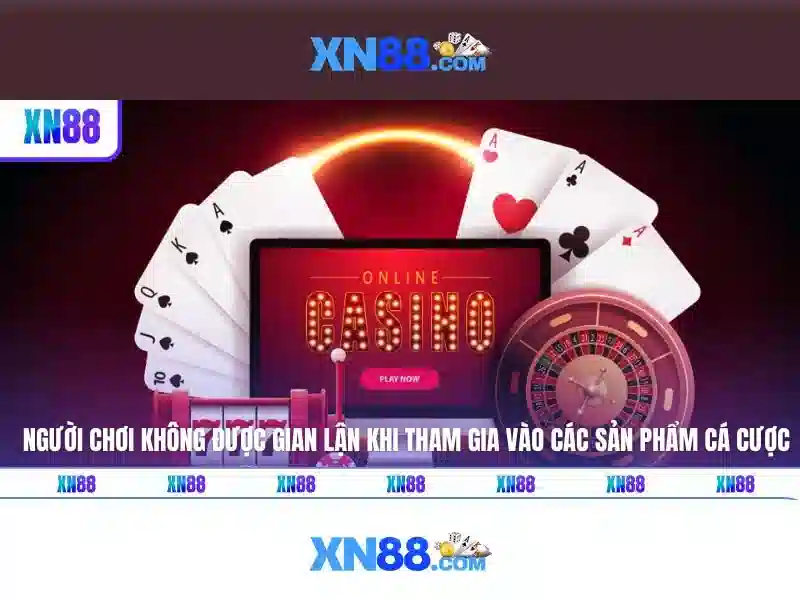 Giới thiệu về xn88