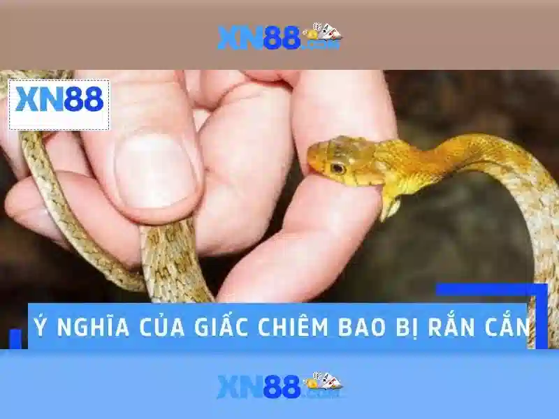 Giới thiệu về xn88 Giới thiệu về xn88