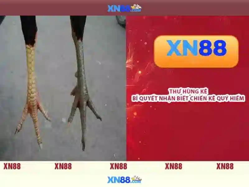 Lịch sử và sự phát triển