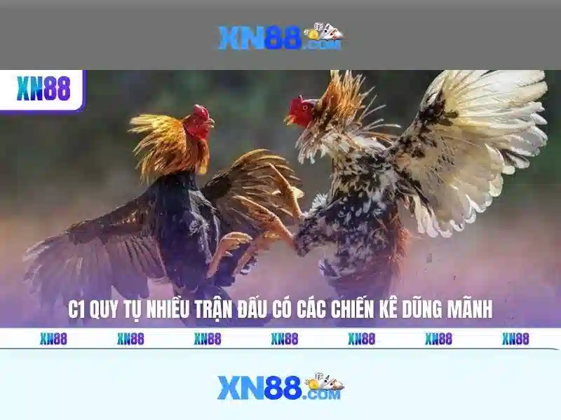 Giới thiệu về xn88 Giới thiệu về xn88