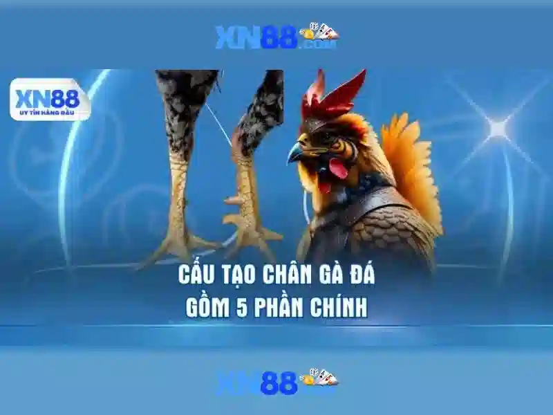 Cách tiếp cận an toàn và quy định Cách tiếp cận an toàn và quy định
