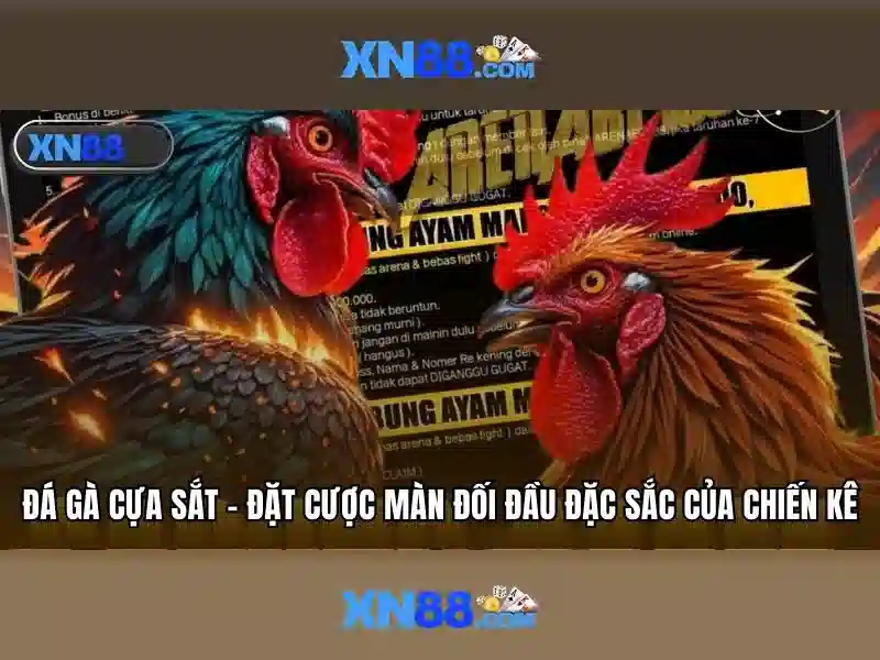 Các sản phẩm và chức năng của xn88