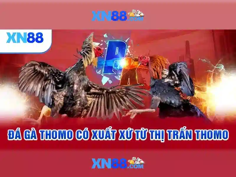 Giới thiệu về xn88
