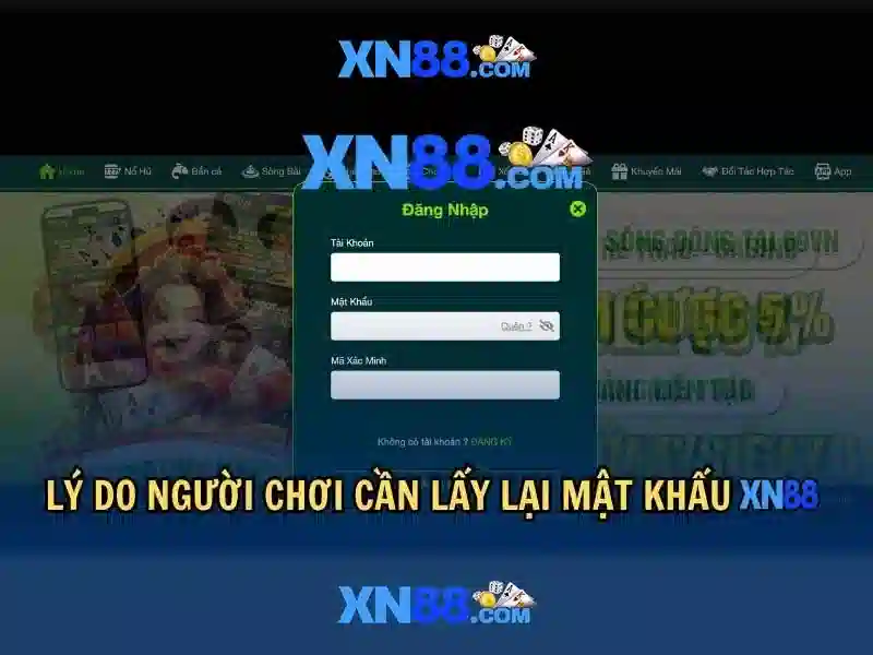Giới thiệu về xn88
