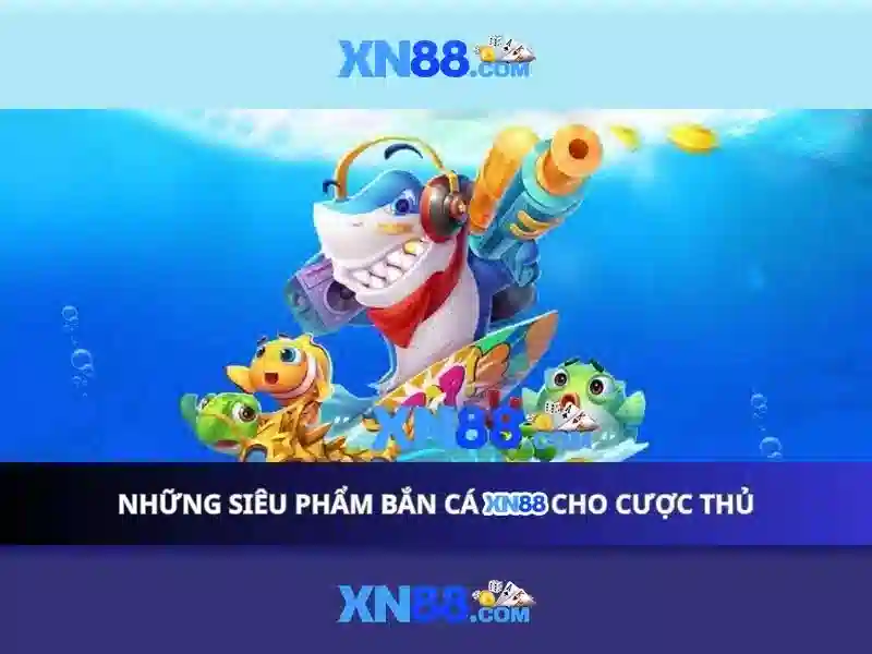 An toàn và trách nhiệm khi tham gia