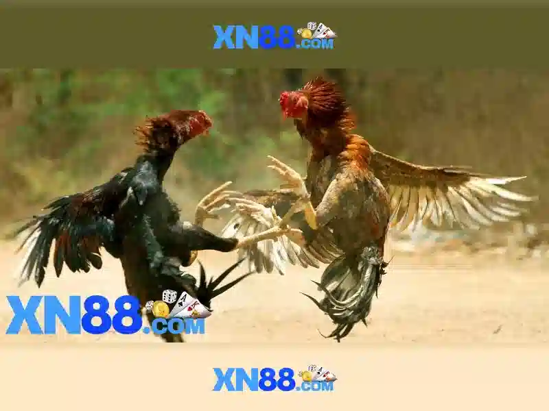 Nhãn chuyên biệt cho cược bóng đá và nhận định kèo 1 Đăng Nhập