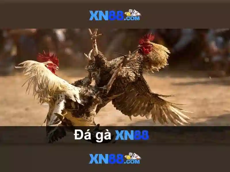 xn88: Khám phá nền tảng trò chơi trực tuyến và cá cược 1 Đăng Nhập