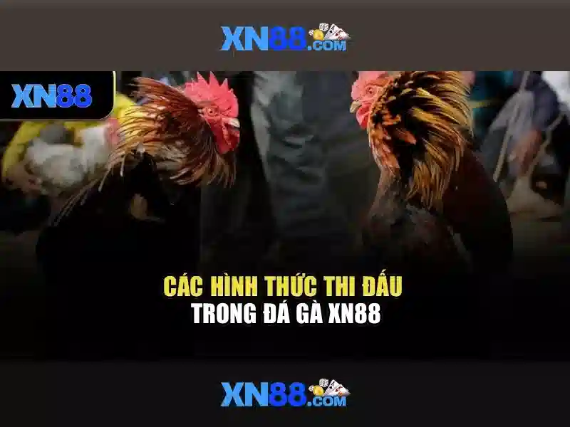 Lich su va dac diem cua xn88 Lich su va dac diem cua xn88
