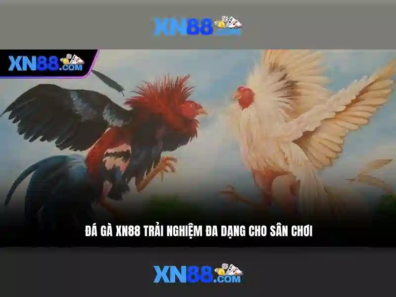 xn88: Nền tảng giải trí và trò chơi trực tuyến uy tín Go88