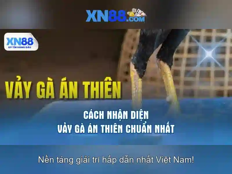 Tùy chỉnh và trải nghiệm người dùng cá nhân hóa Tùy chỉnh và trải nghiệm người dùng cá nhân hóa