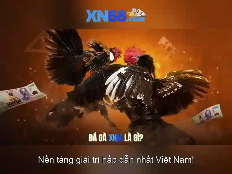 XN88: Tổng quan và Hướng dẫn Go88