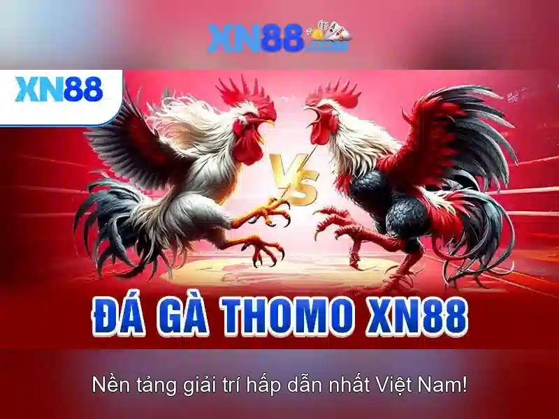 xn88: Nền tảng cược trực tuyến đáng tin cậy Go88