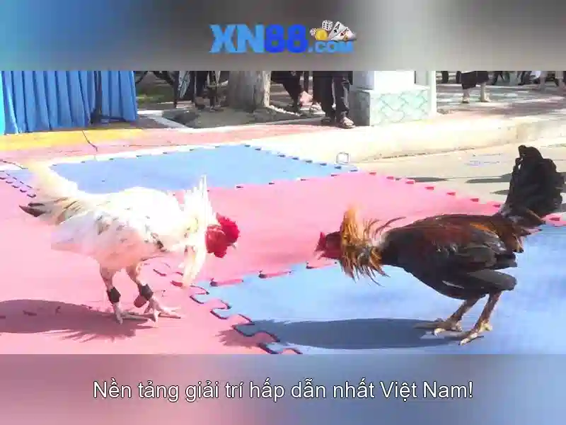 xn88: Giới thiệu và đánh giá 1 Đăng Nhập