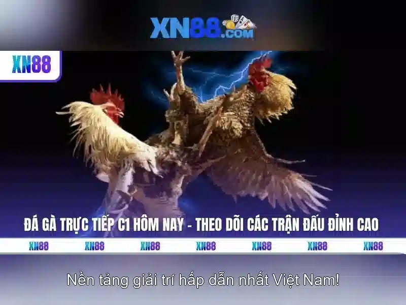 Đăng Nhập