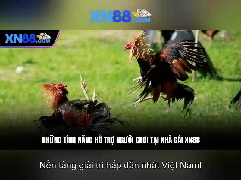 Trò chơi và thể loại