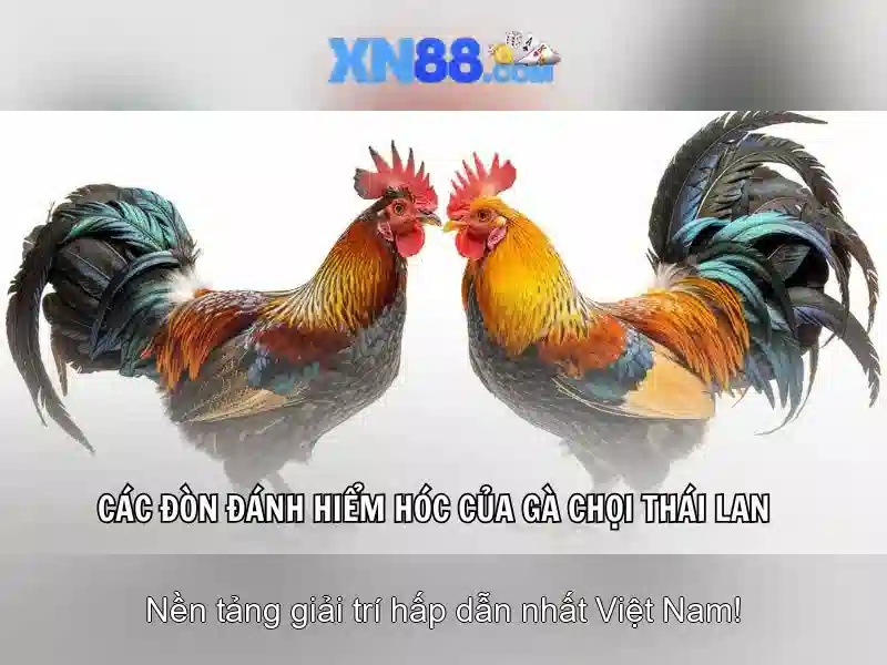 Đặc điểm nổi bật của xn88