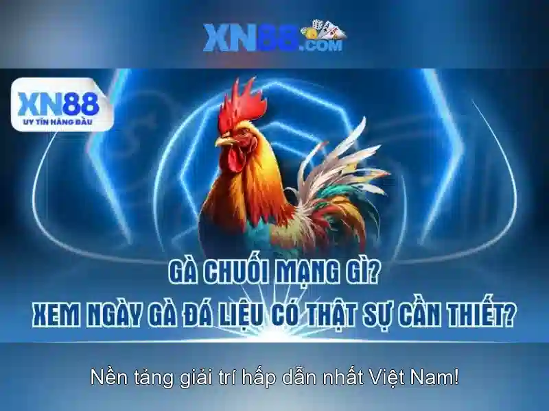 Giới thiệu về xn88 Giới thiệu về xn88