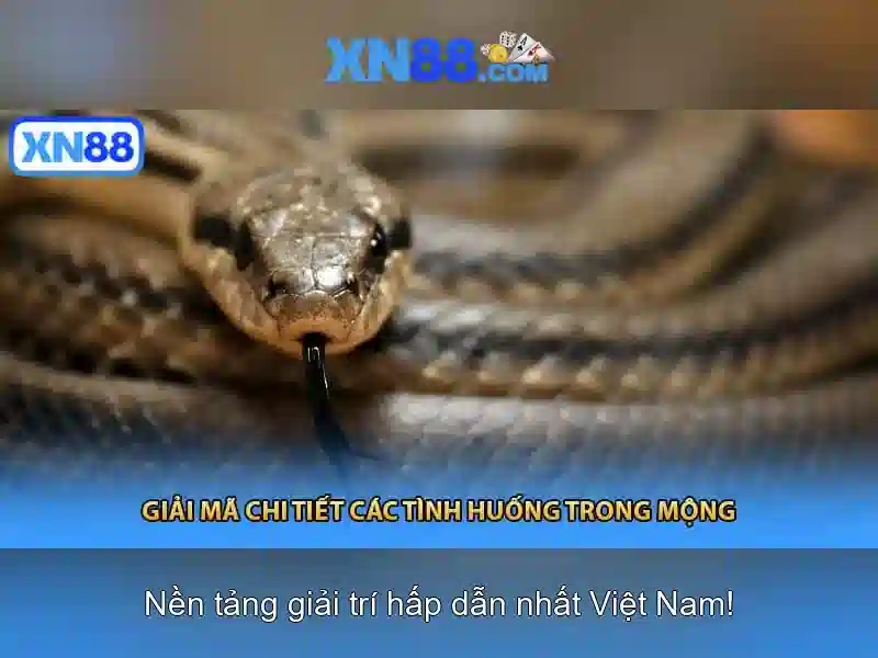 Lĩnh vực hoạt động và sản phẩm