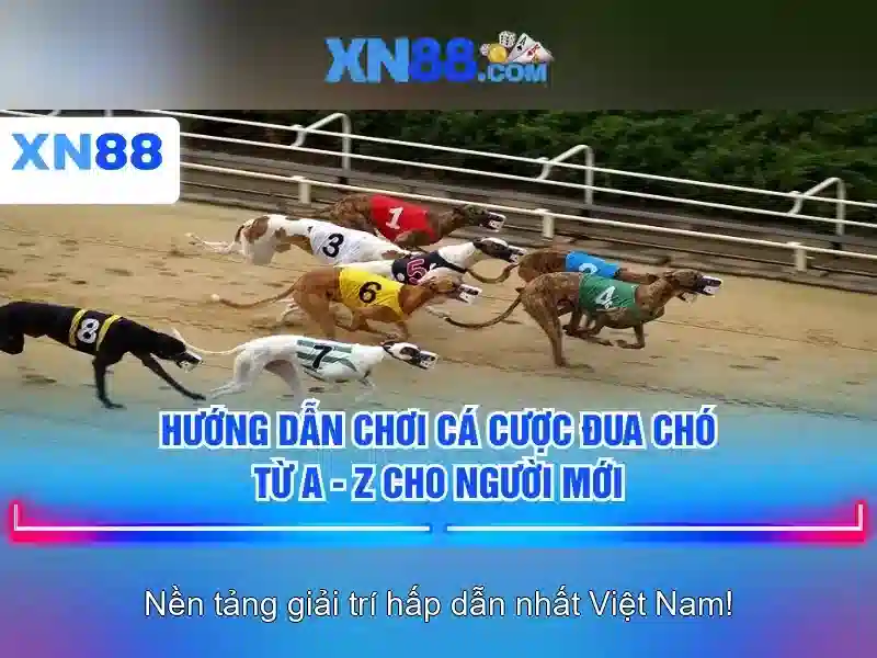 Soi kèo hiệp 1