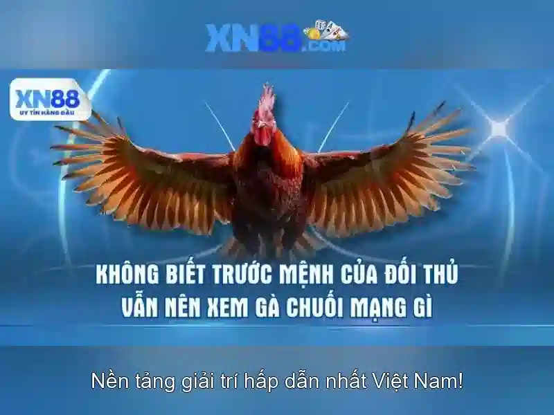 Soi kèo hiệp 1