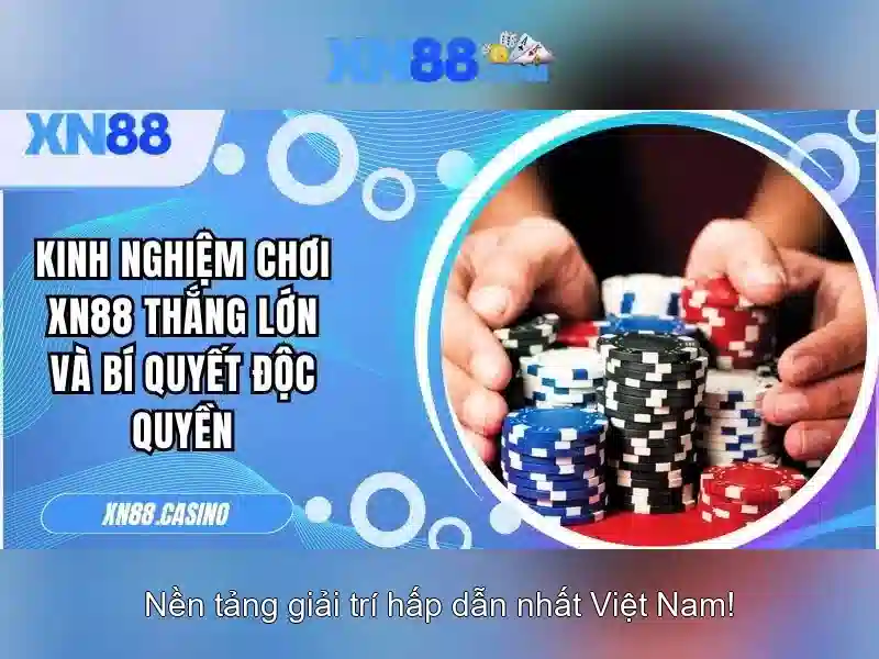Lời khuyên cho người mới