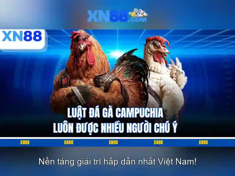 Lịch sử và nguồn gốc Lịch sử và nguồn gốc