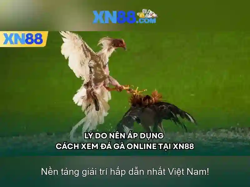 Chinh sach bao mat xn88 Chinh sach bao mat xn88