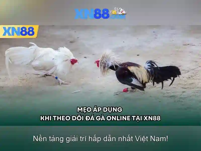 Khám phá các tính năng của xn88