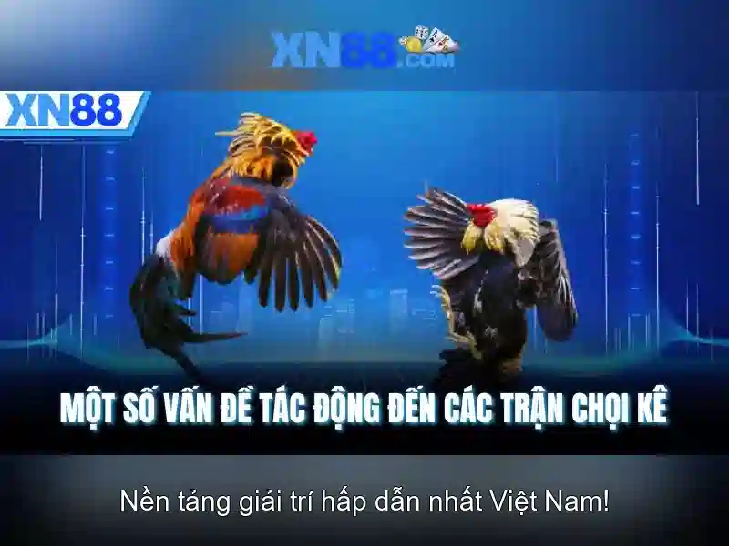 Kết luận Kết luận