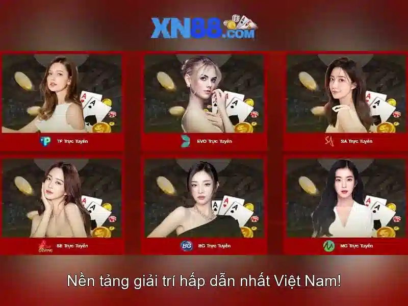 Giao diện và trải nghiệm người dùng Giao diện và trải nghiệm người dùng