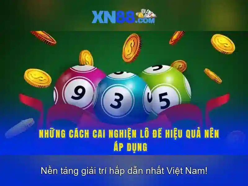 XN88: một cái nhìn tổng quan về nền tảng giải trí và cá cược 1 Đăng Nhập