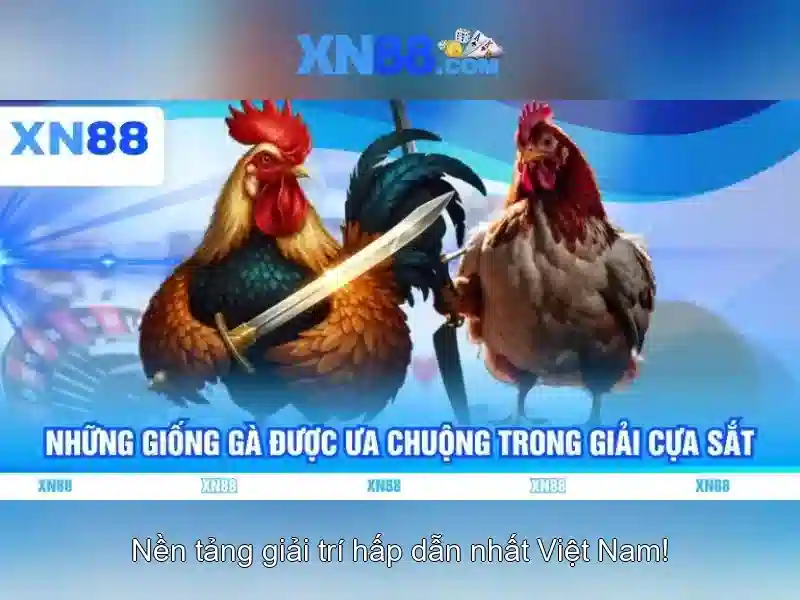 Nền tảng và công nghệ