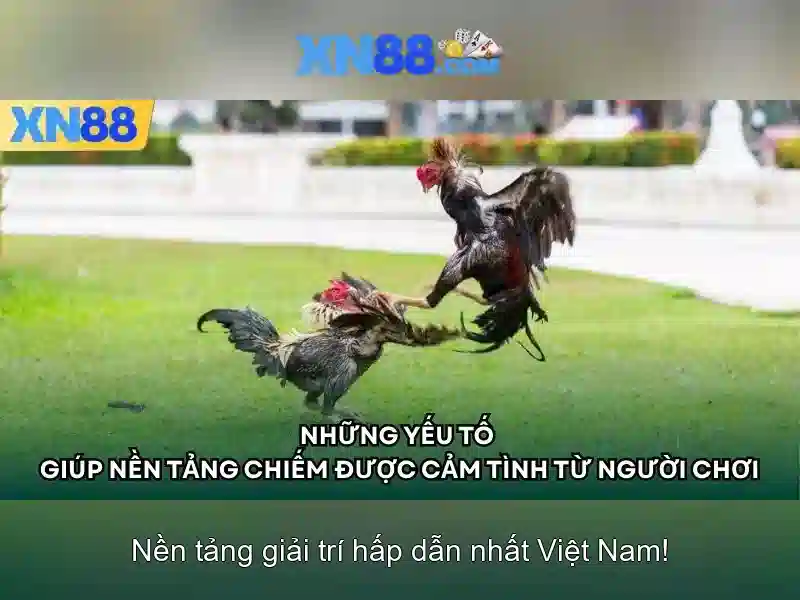 Ứng dụng và thị trường của xn88 Ứng dụng và thị trường của xn88