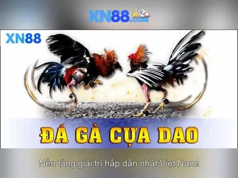 Giới thiệu về xn88 Giới thiệu về xn88