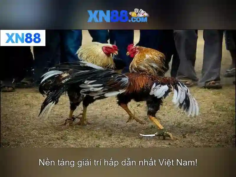 Giới thiệu xn88 Giới thiệu xn88