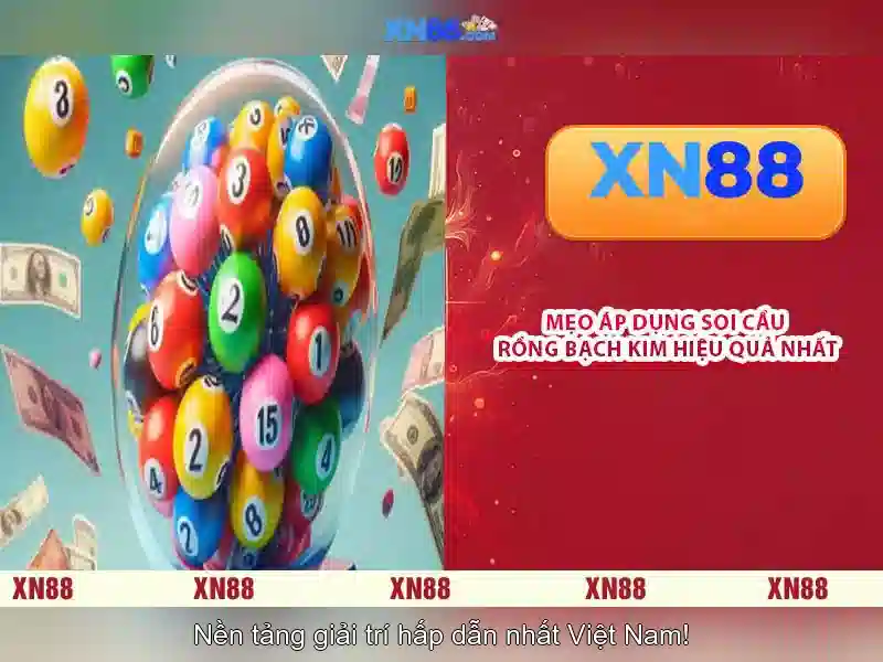 Trải nghiệm người dùng và thanh toán