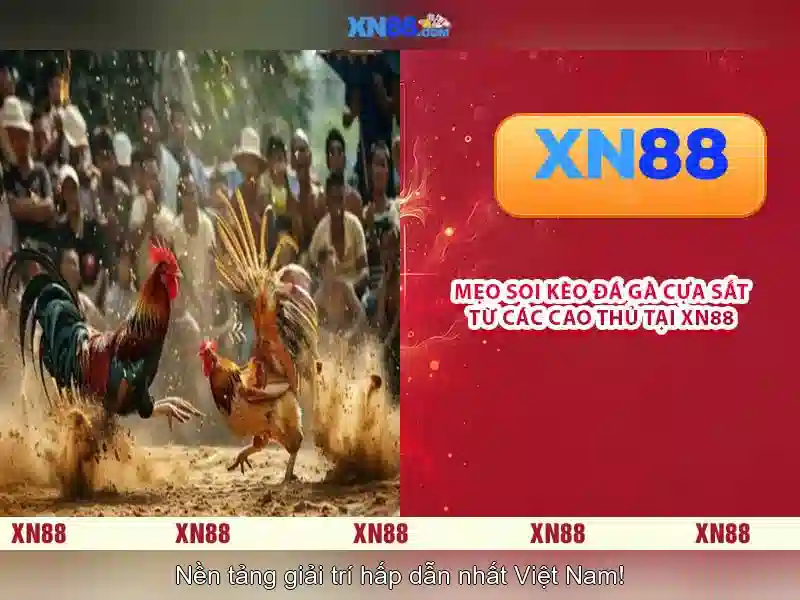 Nền tảng và trò chơi
