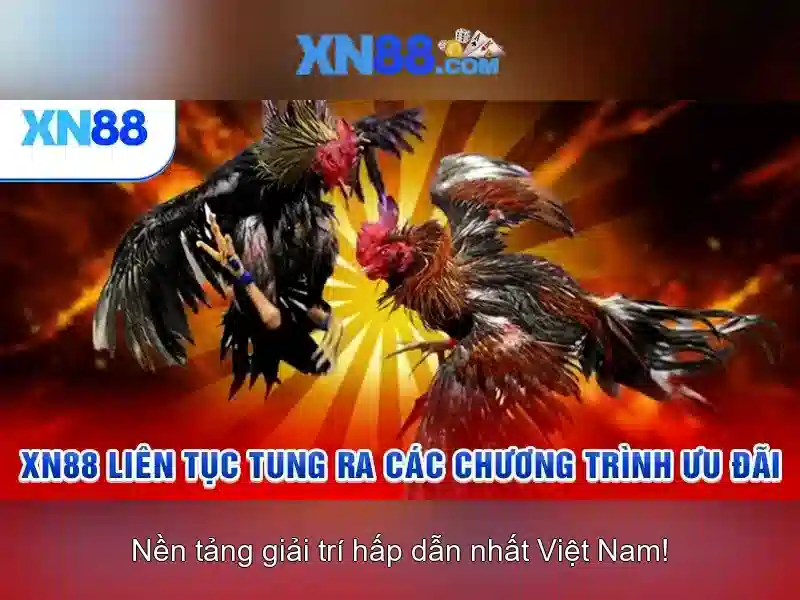 Nền tảng và cơ hội giải trí