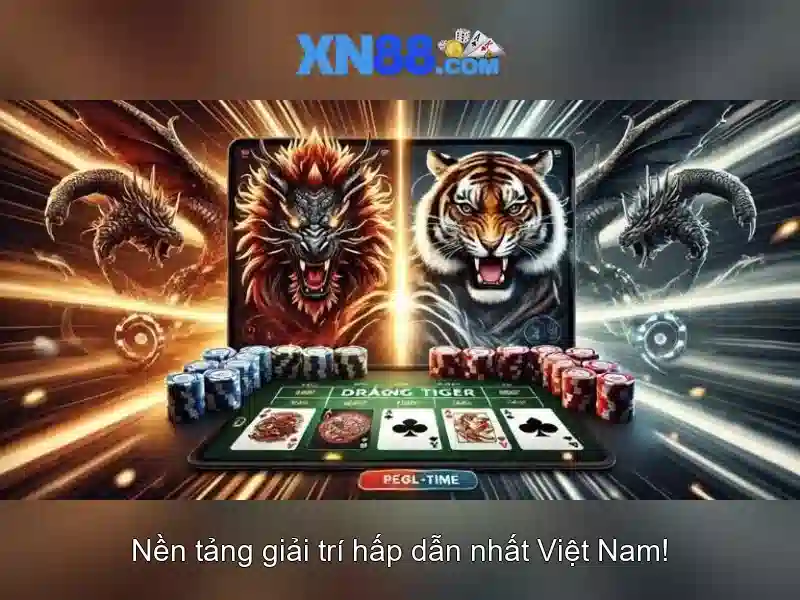 Lĩnh vực hoạt động và các sản phẩm