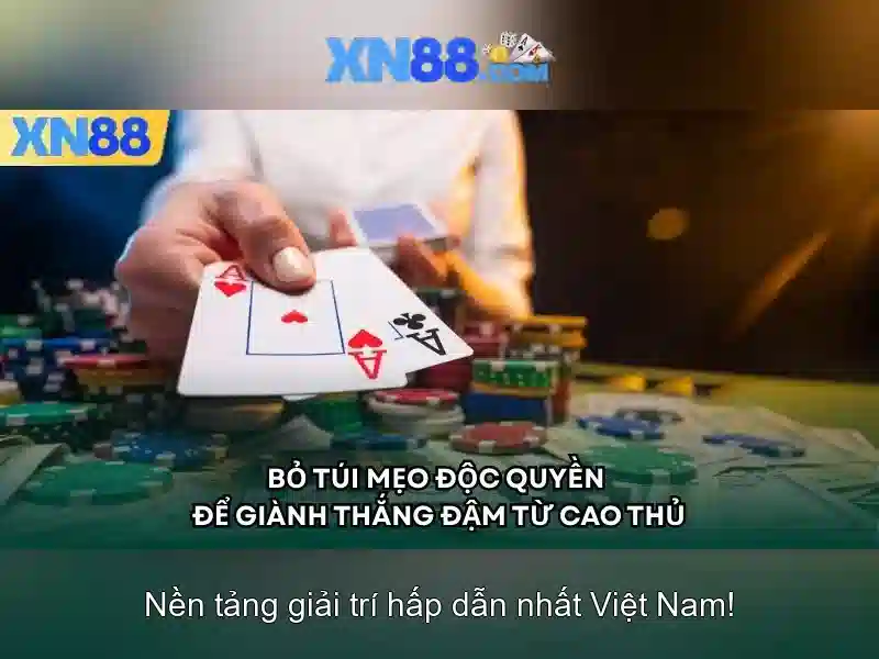 Giới thiệu về xn88